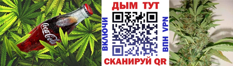 Cannafood конопля  Канаш 
