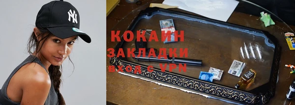 тгк Арсеньев