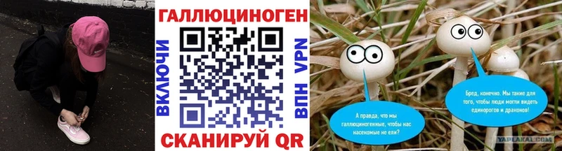 нарко площадка состав  Канаш  Галлюциногенные грибы Psilocybine cubensis  цена наркотик 